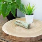 Witte Salie & Eucalyptus Smudge Stick (10 cm)