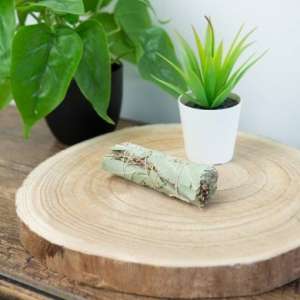 Witte Salie & Eucalyptus Smudge Stick (10 cm)