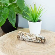 Witte Salie & Lavendel Smudge Stick (10 cm)