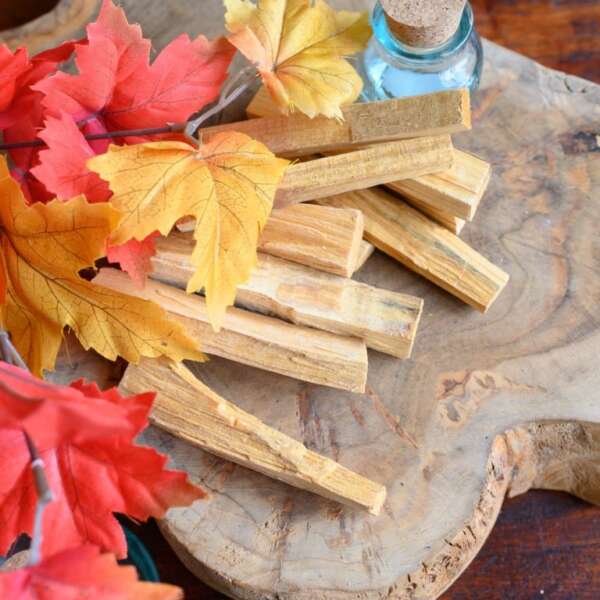 Palo Santo Heilig Hout Sticks 100 gram - Afbeelding 3