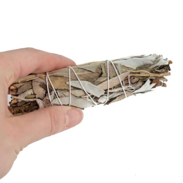 Witte Salie & Lavendel Smudge Stick (10 cm) - Afbeelding 3