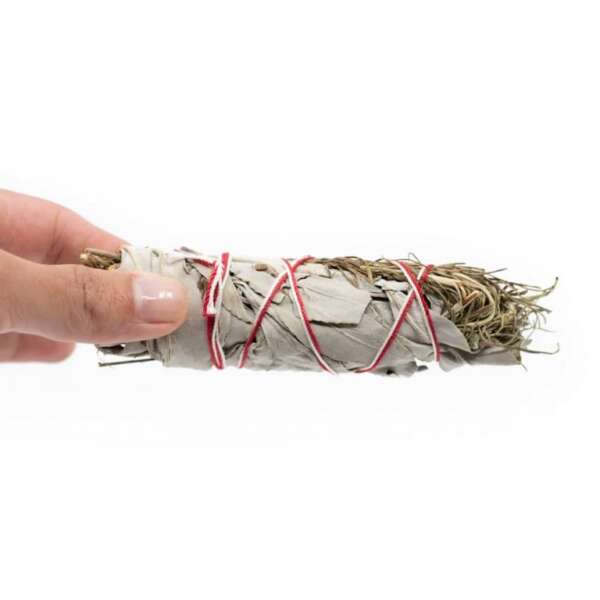 Witte Salie & Rozemarijn Smudge Stick (ca. 8 – 10 cm) - Afbeelding 5