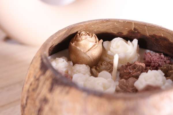 Kokosnoot met waxmelts goudkleurige bloemen - Afbeelding 2