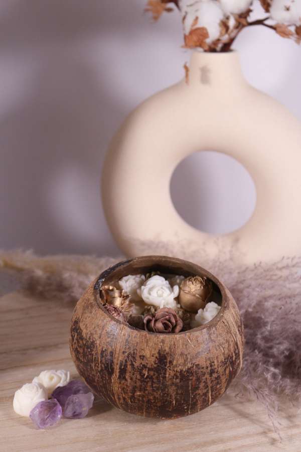 Kokosnoot met waxmelts goudkleurige bloemen - Afbeelding 10