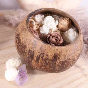 Kokosnoot met waxmelts goudkleurige bloemen